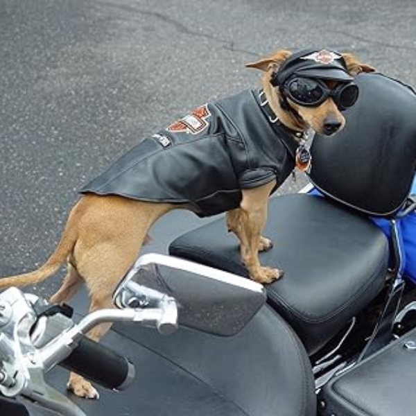 Skidmore's Biker Edition Leather Cream – Motorcycle Leather Cleaner & Conditioner